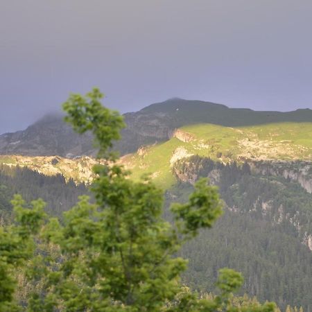Domaine Du Grand Tetras Samoens Apartment Ngoại thất bức ảnh
